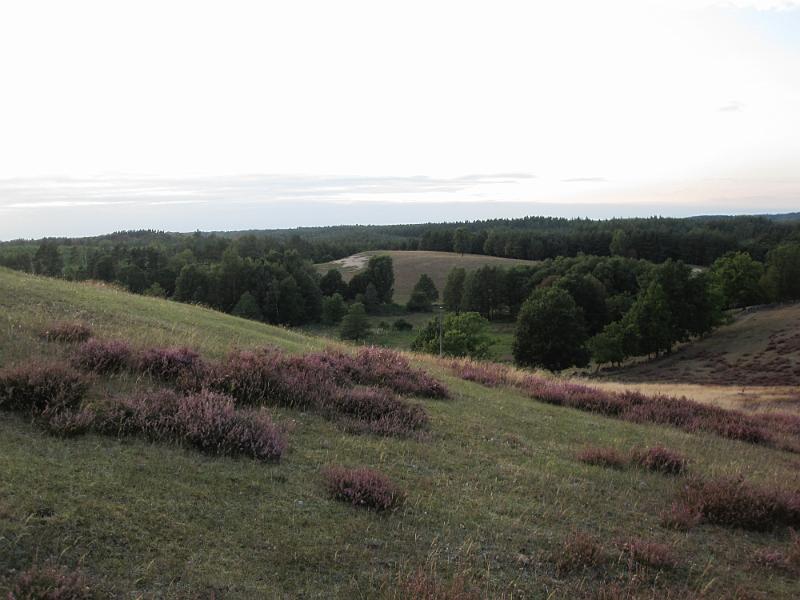 RP10_16.JPG