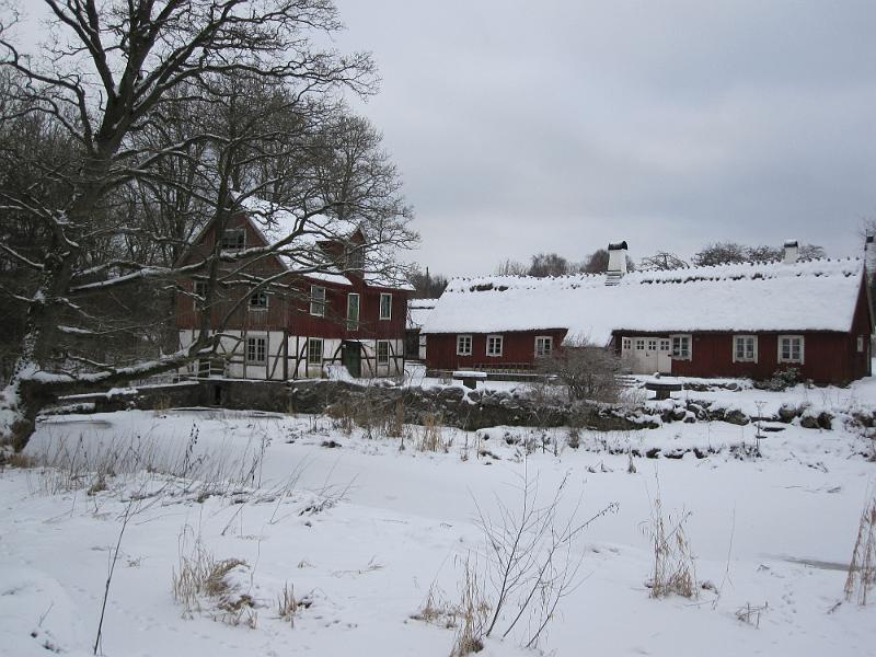 RP11_04.JPG