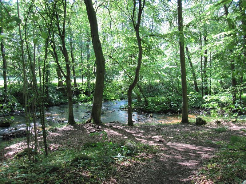 RP12_06.JPG