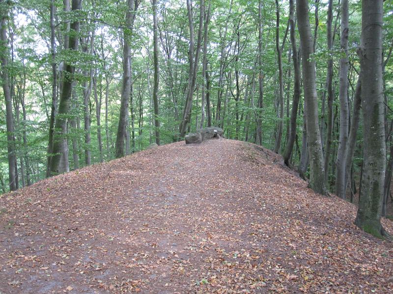 RP12_14.JPG