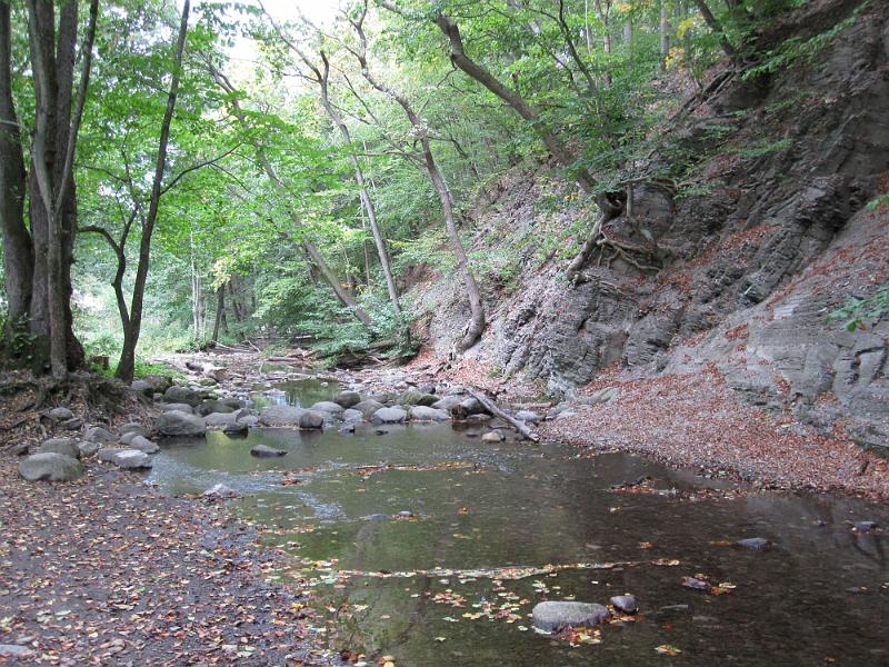 RP12_15.JPG