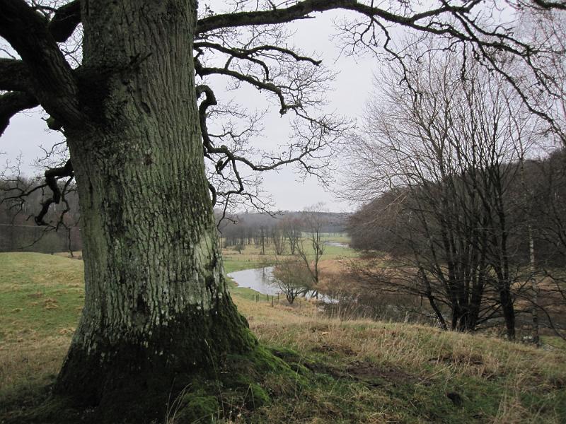 RP13_08.JPG