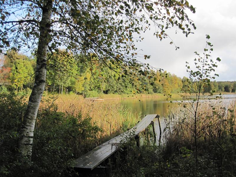 RP14_01.JPG