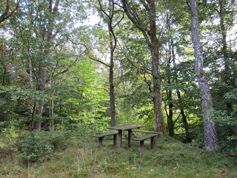 RP14_02.JPG