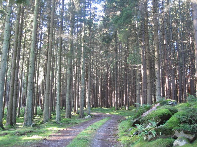 RP15_05.JPG