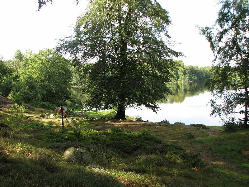 RP16_01.JPG