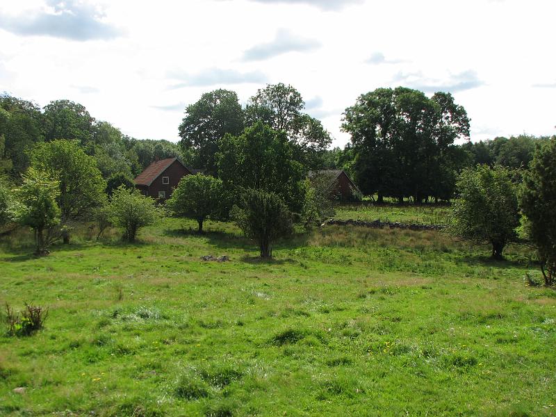 RP16_02.JPG