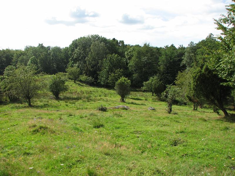 RP16_03.JPG
