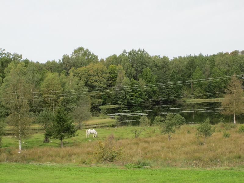 RP17_02.JPG