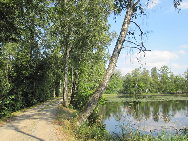 RP18_02.JPG