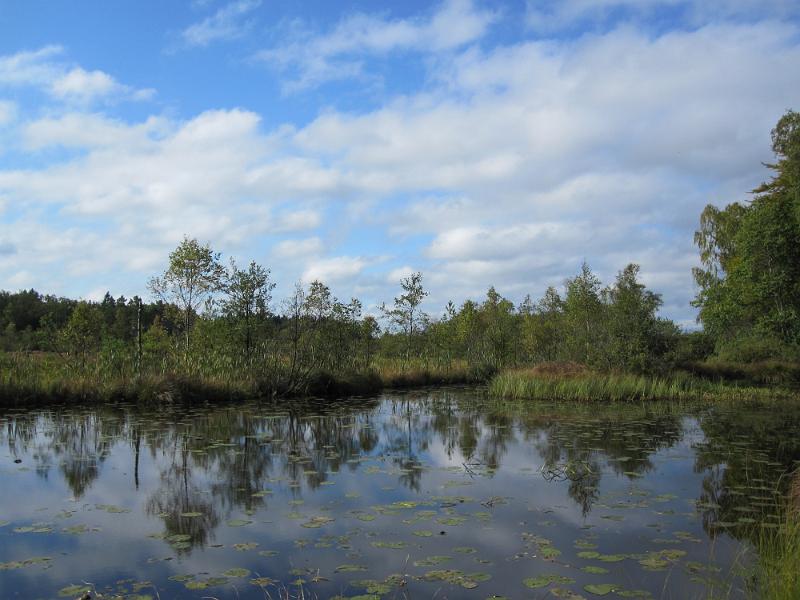 RP18_03.JPG