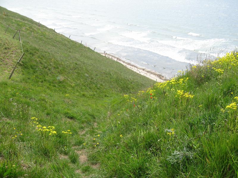 RP1_08.JPG