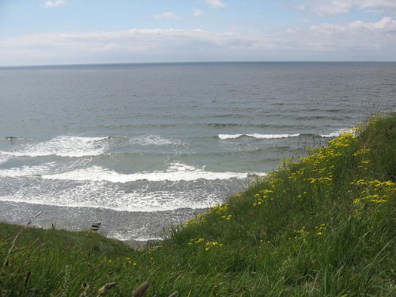 RP1_09.JPG