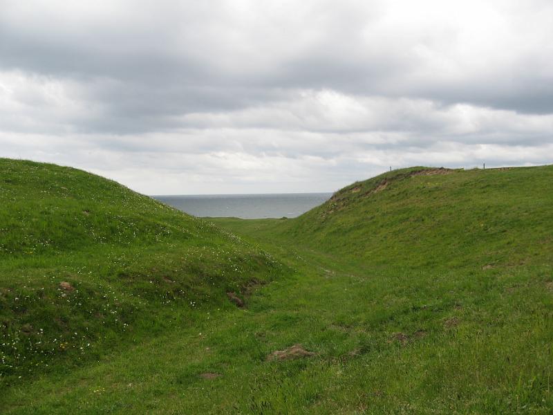 RP1_10.JPG