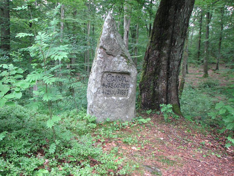 RP20_03.JPG