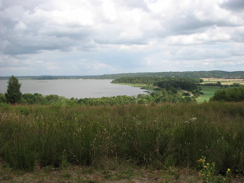 RP20_08.JPG