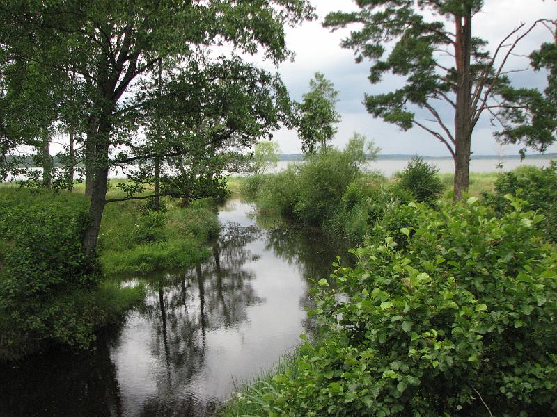RP20_11.JPG