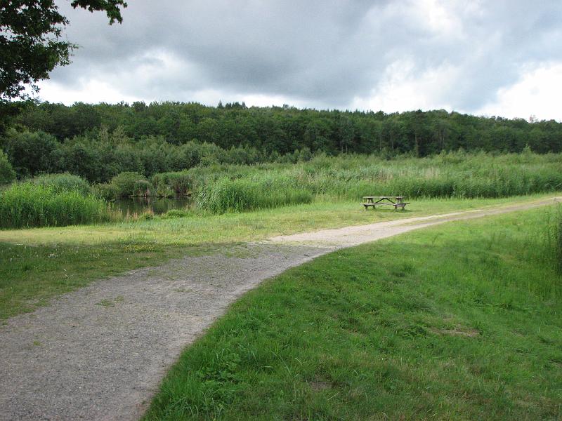 RP21_03.JPG