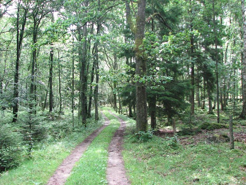 RP21_07.JPG