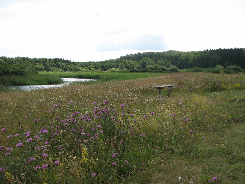 RP21_10.JPG