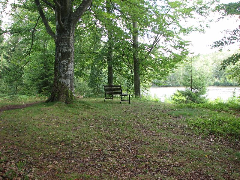 RP22_02.JPG