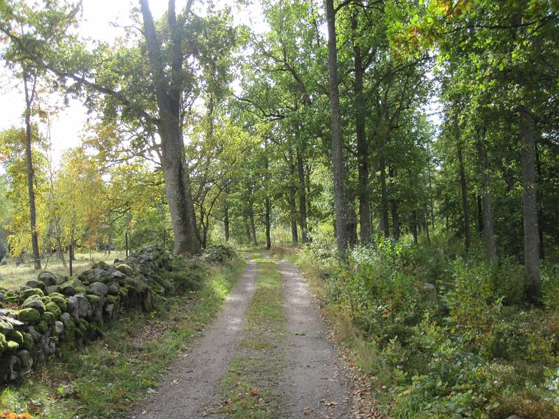 RP22_22.JPG