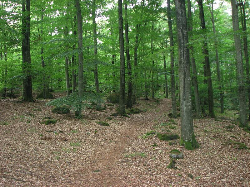 RP26_05.JPG