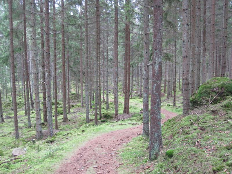 RP29_01.JPG
