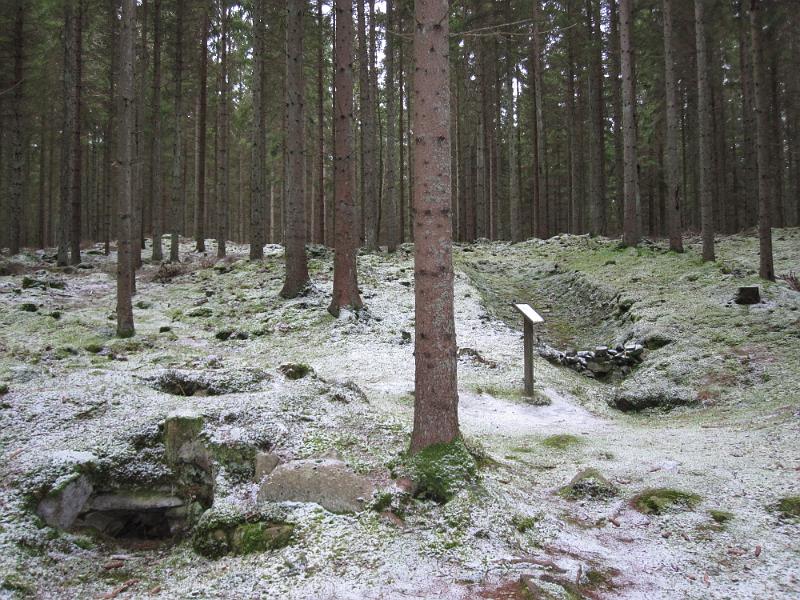 RP29_06.JPG