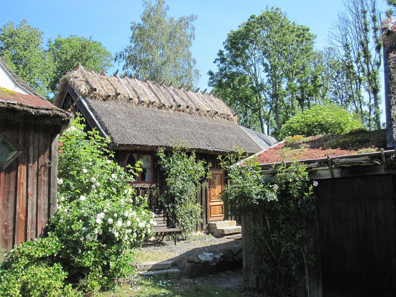 RP5_11.JPG