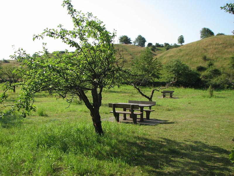 RP6_01.JPG
