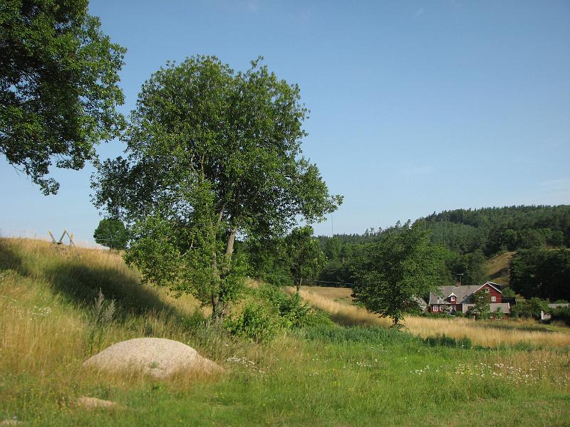 RP6_05.JPG