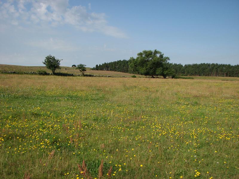 RP6_06.JPG