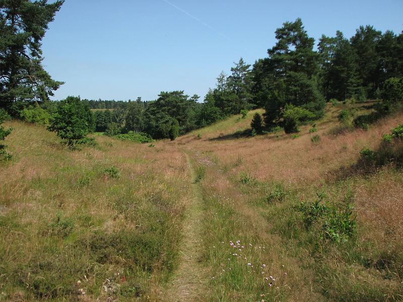 RP6_09.JPG