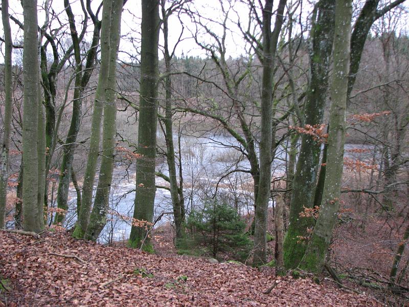 RP9_04.JPG