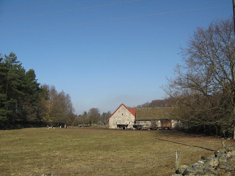 T11-F.jpg