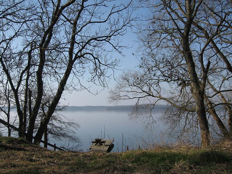 T11-G.jpg