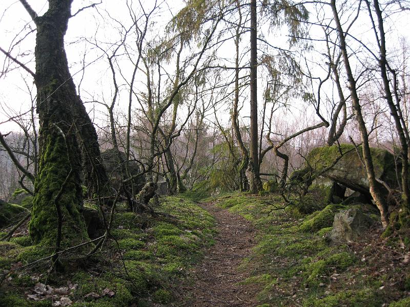 T12-E.jpg