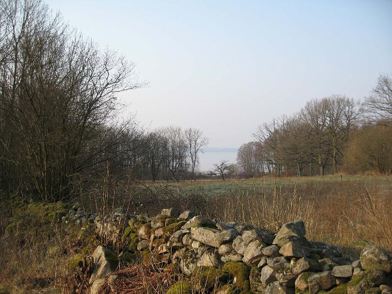 T12-F.jpg