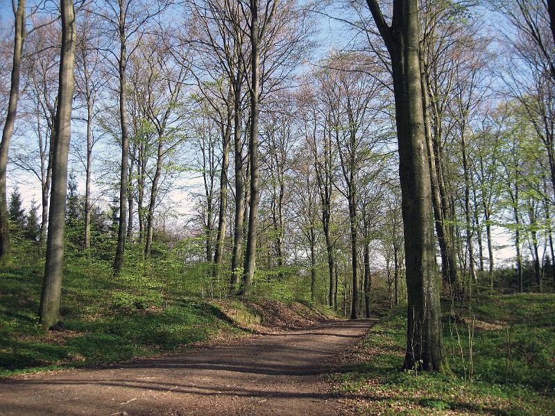 T13-F.jpg