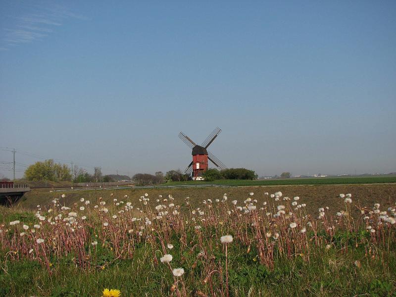 T15-A.jpg