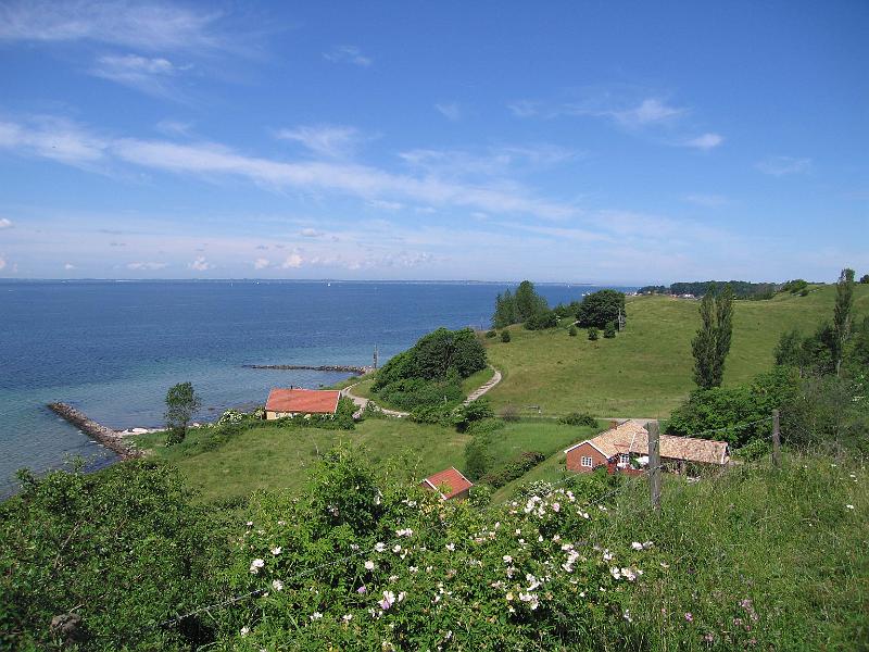 T16-F.jpg