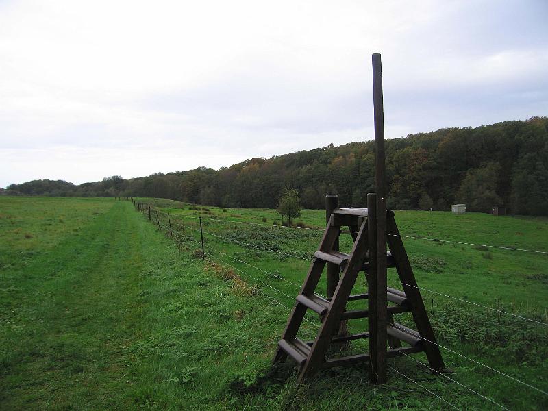 T18-B.jpg
