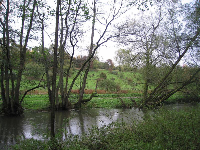 T18-C.jpg