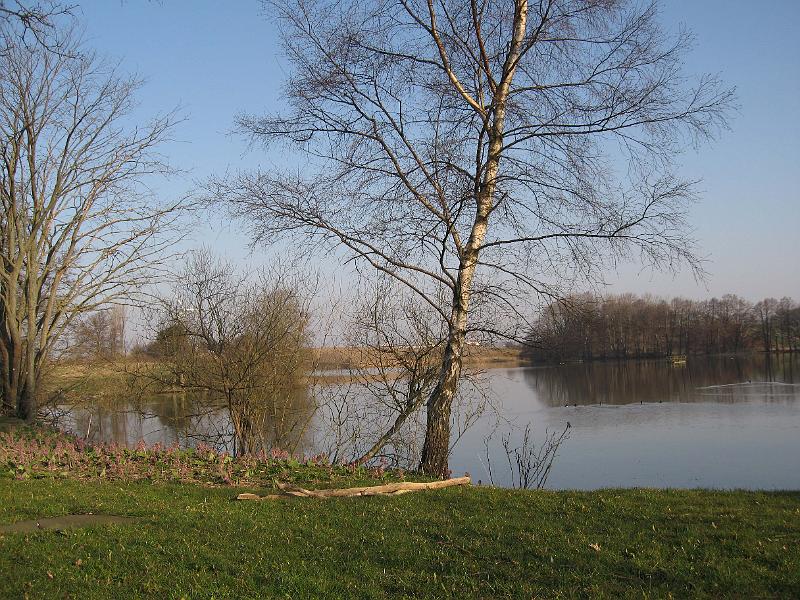 T19-C.jpg
