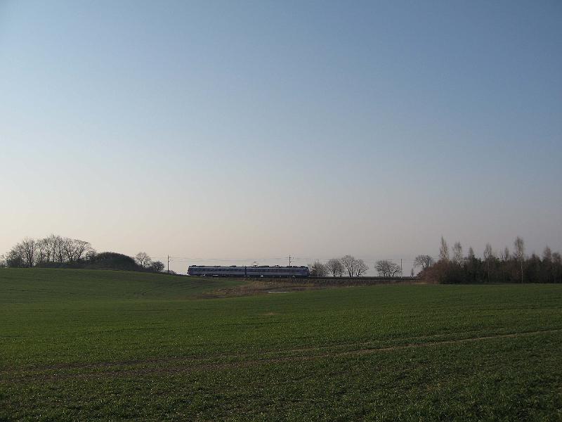 T19-H.jpg