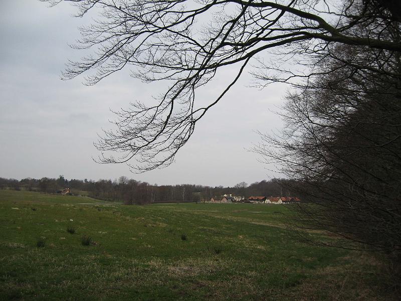T24-J.jpg