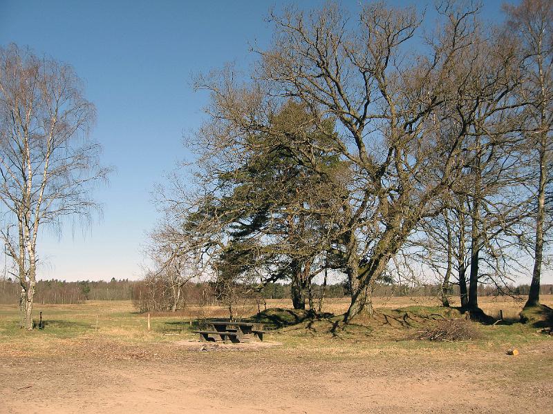 T8-F.jpg