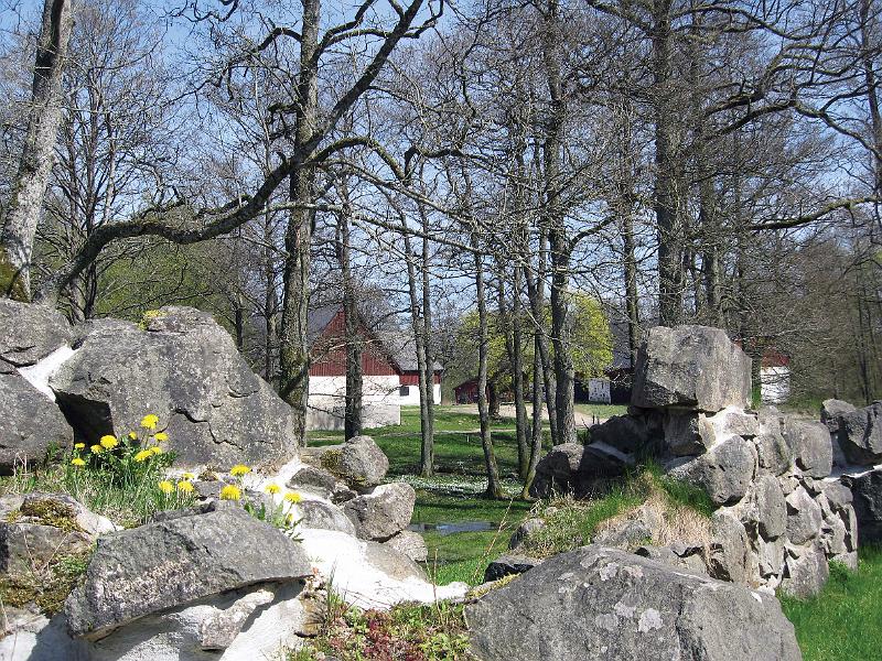 T8-L.jpg